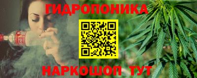 стаф Кандалакша