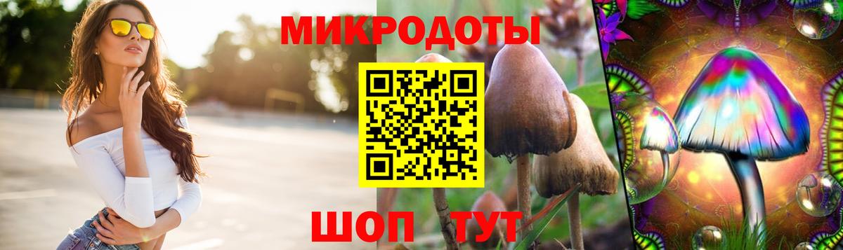 Псилоцибиновые грибы Magic Shrooms Котлас